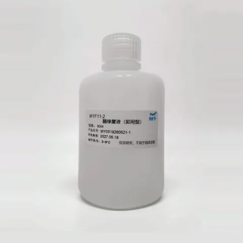 酶修复液（即用型）